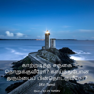 Picture 03 - யோபு 13:25 TAMIRV - காற்றடித்த சருகை - Bible Verse Picture