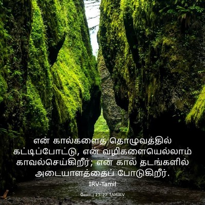 Picture 03 - யோபு 13:27 TAMIRV - என் கால்களைத் - Bible Verse Picture