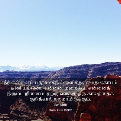 Picture 03 - யோபு 14:13 TAMIRV - நீர் என்னைப் - Bible Verse Picture