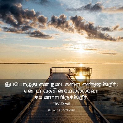 Picture 03 - யோபு 14:16 TAMIRV - இப்பொழுது என் - Bible Verse Picture