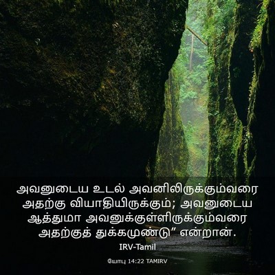 Picture 03 - யோபு 14:22 TAMIRV - அவனுடைய உடல் - Bible Verse Picture