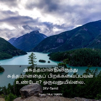 Picture 03 - யோபு 14:4 TAMIRV -  - Bible Verse Picture