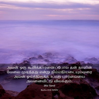 Picture 03 - யோபு 14:6 TAMIRV - அவன் ஒரு - Bible Verse Picture
