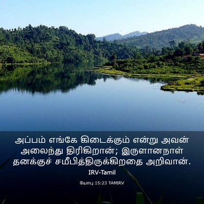 Picture 03 - யோபு 15:23 TAMIRV - அப்பம் எங்கே - Bible Verse Picture