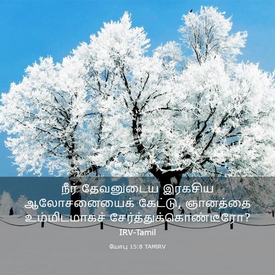 Picture 03 - யோபு 15:8 TAMIRV - நீர் தேவனுடைய - Bible Verse Picture