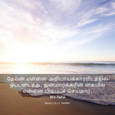 Picture 03 - யோபு 16:11 TAMIRV - தேவன் என்னை - Bible Verse Picture