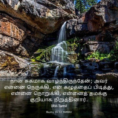Picture 03 - யோபு 16:12 TAMIRV - நான் சுகமாக - Bible Verse Picture