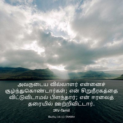 Picture 03 - யோபு 16:13 TAMIRV - அவருடைய வில்லாளர் - Bible Verse Picture