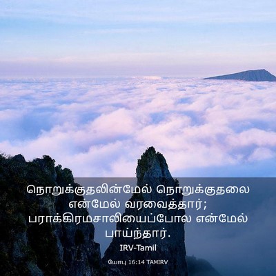 Picture 03 - யோபு 16:14 TAMIRV -  - Bible Verse Picture