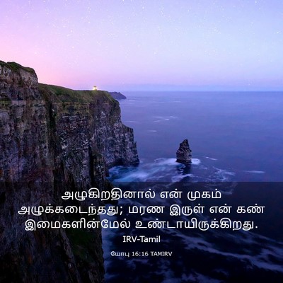 Picture 03 - யோபு 16:16 TAMIRV - அழுகிறதினால் என் - Bible Verse Picture