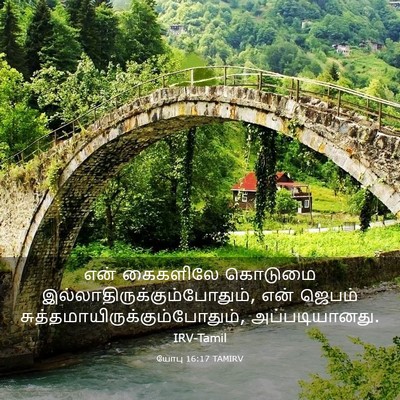 Picture 03 - யோபு 16:17 TAMIRV - என் கைகளிலே - Bible Verse Picture