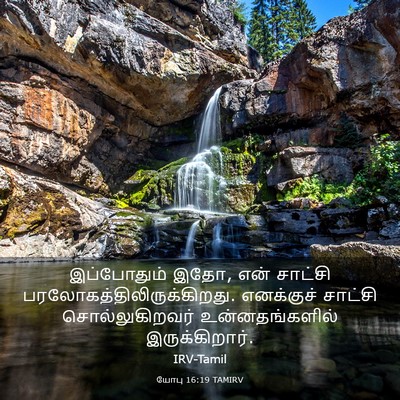 Picture 03 - யோபு 16:19 TAMIRV - இப்போதும் இதோ, என் - Bible Verse Picture