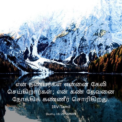 Picture 03 - யோபு 16:20 TAMIRV - என் நண்பர்கள் - Bible Verse Picture