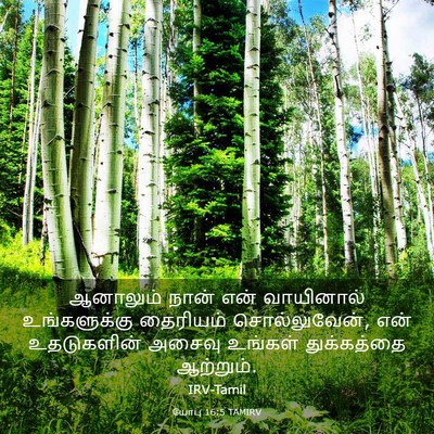 Picture 03 - யோபு 16:5 TAMIRV - ஆனாலும் நான் என் - Bible Verse Picture