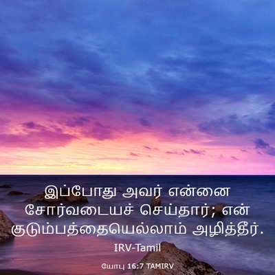 Picture 03 - யோபு 16:7 TAMIRV - இப்போது அவர் - Bible Verse Picture