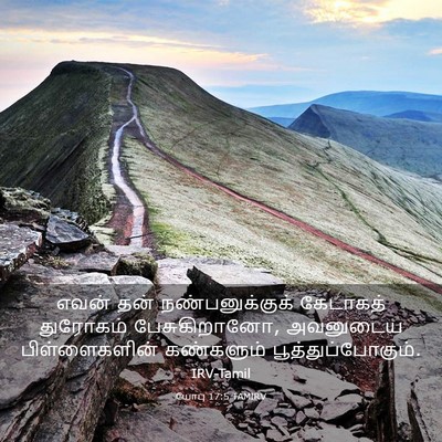 Picture 03 - யோபு 17:5 TAMIRV - எவன் தன் - Bible Verse Picture