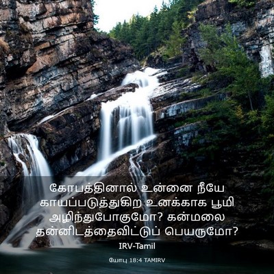 Picture 03 - யோபு 18:4 TAMIRV - கோபத்தினால் உன்னை - Bible Verse Picture