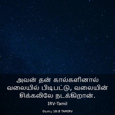 Picture 03 - யோபு 18:8 TAMIRV - அவன் தன் - Bible Verse Picture