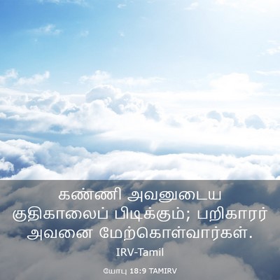 Picture 03 - யோபு 18:9 TAMIRV - கண்ணி அவனுடைய - Bible Verse Picture