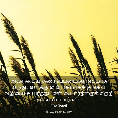 Picture 03 - யோபு 19:12 TAMIRV - அவருடைய - Bible Verse Picture