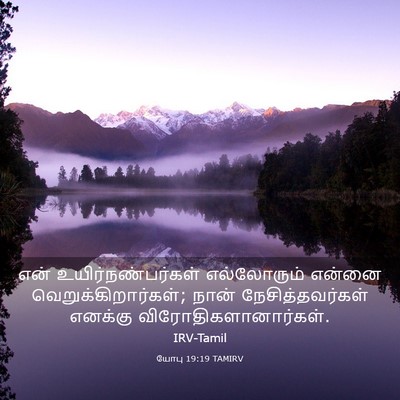 Picture 03 - யோபு 19:19 TAMIRV - என் - Bible Verse Picture