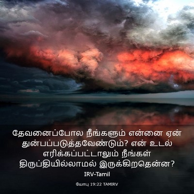 Picture 03 - யோபு 19:22 TAMIRV - தேவனைப்போல - Bible Verse Picture