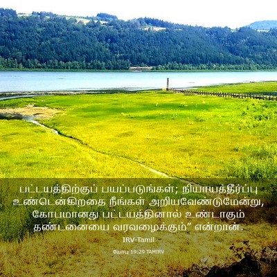 Picture 03 - யோபு 19:29 TAMIRV - பட்டயத்திற்குப் - Bible Verse Picture