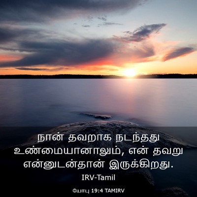 Picture 03 - யோபு 19:4 TAMIRV - நான் தவறாக - Bible Verse Picture