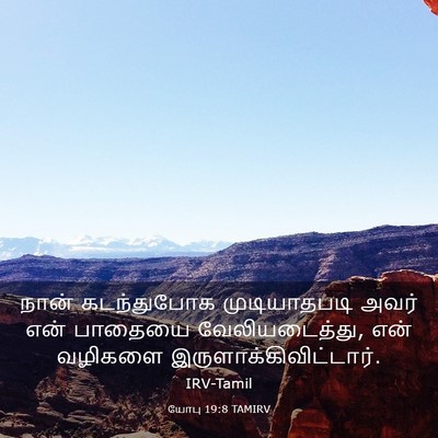 Picture 03 - யோபு 19:8 TAMIRV - நான் கடந்துபோக - Bible Verse Picture
