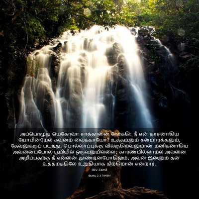 Picture 03 - யோபு 2:3 TAMIRV - அப்பொழுது யெகோவா - Bible Verse Picture