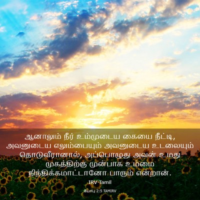 Picture 03 - யோபு 2:5 TAMIRV - ஆனாலும் நீர் - Bible Verse Picture