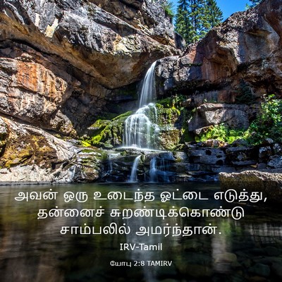 Picture 03 - யோபு 2:8 TAMIRV - அவன் ஒரு உடைந்த - Bible Verse Picture