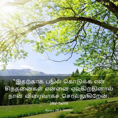 Picture 03 - யோபு 20:2 TAMIRV - “இதற்காக பதில் - Bible Verse Picture