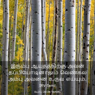 Picture 03 - யோபு 20:24 TAMIRV - இரும்பு - Bible Verse Picture