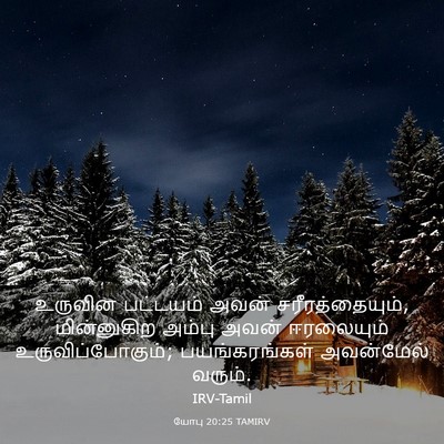 Picture 03 - யோபு 20:25 TAMIRV - உருவின பட்டயம் - Bible Verse Picture