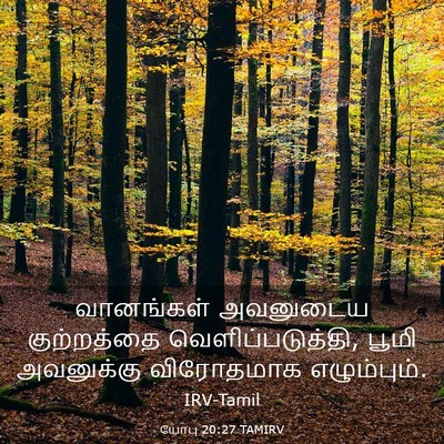 Picture 03 - யோபு 20:27 TAMIRV - வானங்கள் அவனுடைய - Bible Verse Picture