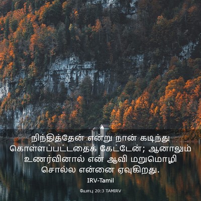 Picture 03 - யோபு 20:3 TAMIRV - நிந்தித்தேன் - Bible Verse Picture
