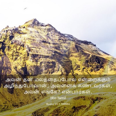 Picture 03 - யோபு 20:7 TAMIRV - அவன் தன் - Bible Verse Picture
