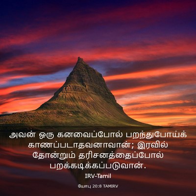 Picture 03 - யோபு 20:8 TAMIRV - அவன் ஒரு - Bible Verse Picture