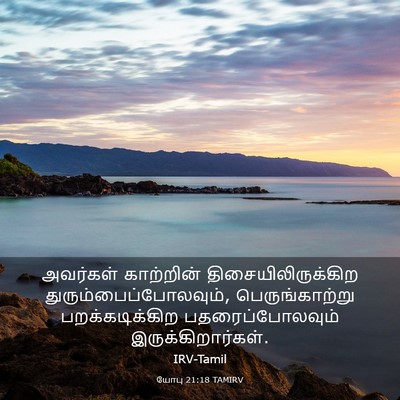 Picture 03 - யோபு 21:18 TAMIRV - அவர்கள் காற்றின் - Bible Verse Picture