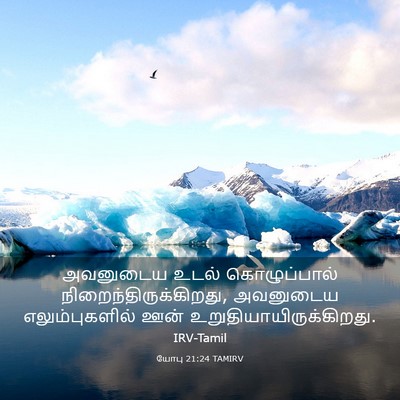 Picture 03 - யோபு 21:24 TAMIRV - அவனுடைய உடல் - Bible Verse Picture