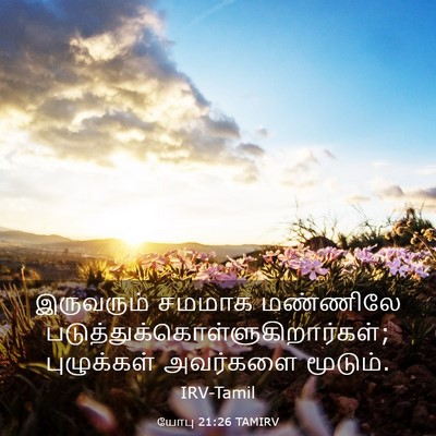 Picture 03 - யோபு 21:26 TAMIRV - இருவரும் சமமாக - Bible Verse Picture