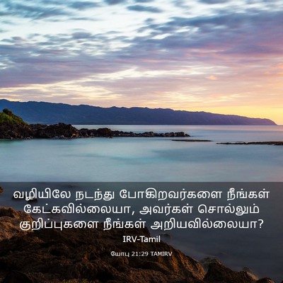 Picture 03 - யோபு 21:29 TAMIRV - வழியிலே நடந்து - Bible Verse Picture