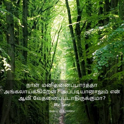 Picture 03 - யோபு 21:4 TAMIRV - நான் - Bible Verse Picture