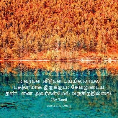 Picture 03 - யோபு 21:9 TAMIRV - அவர்கள் வீடுகள் - Bible Verse Picture