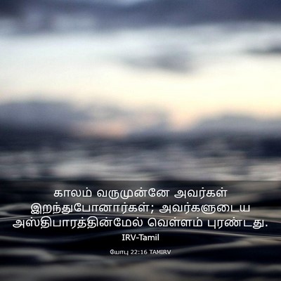 Picture 03 - யோபு 22:16 TAMIRV - காலம் வருமுன்னே - Bible Verse Picture