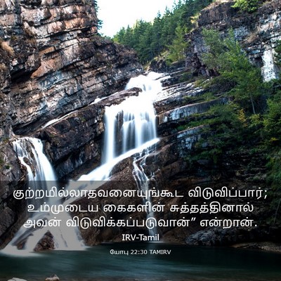 Picture 03 - யோபு 22:30 TAMIRV -  - Bible Verse Picture
