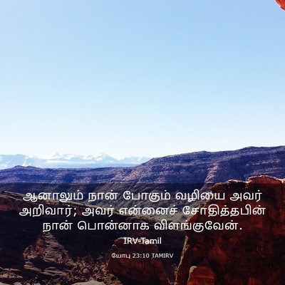 Picture 03 - யோபு 23:10 TAMIRV - ஆனாலும் நான் - Bible Verse Picture