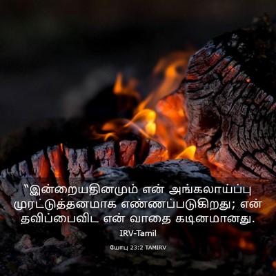 Picture 03 - யோபு 23:2 TAMIRV - “இன்றையதினமும் - Bible Verse Picture
