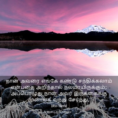 Picture 03 - யோபு 23:3 TAMIRV - நான் அவரை எங்கே - Bible Verse Picture